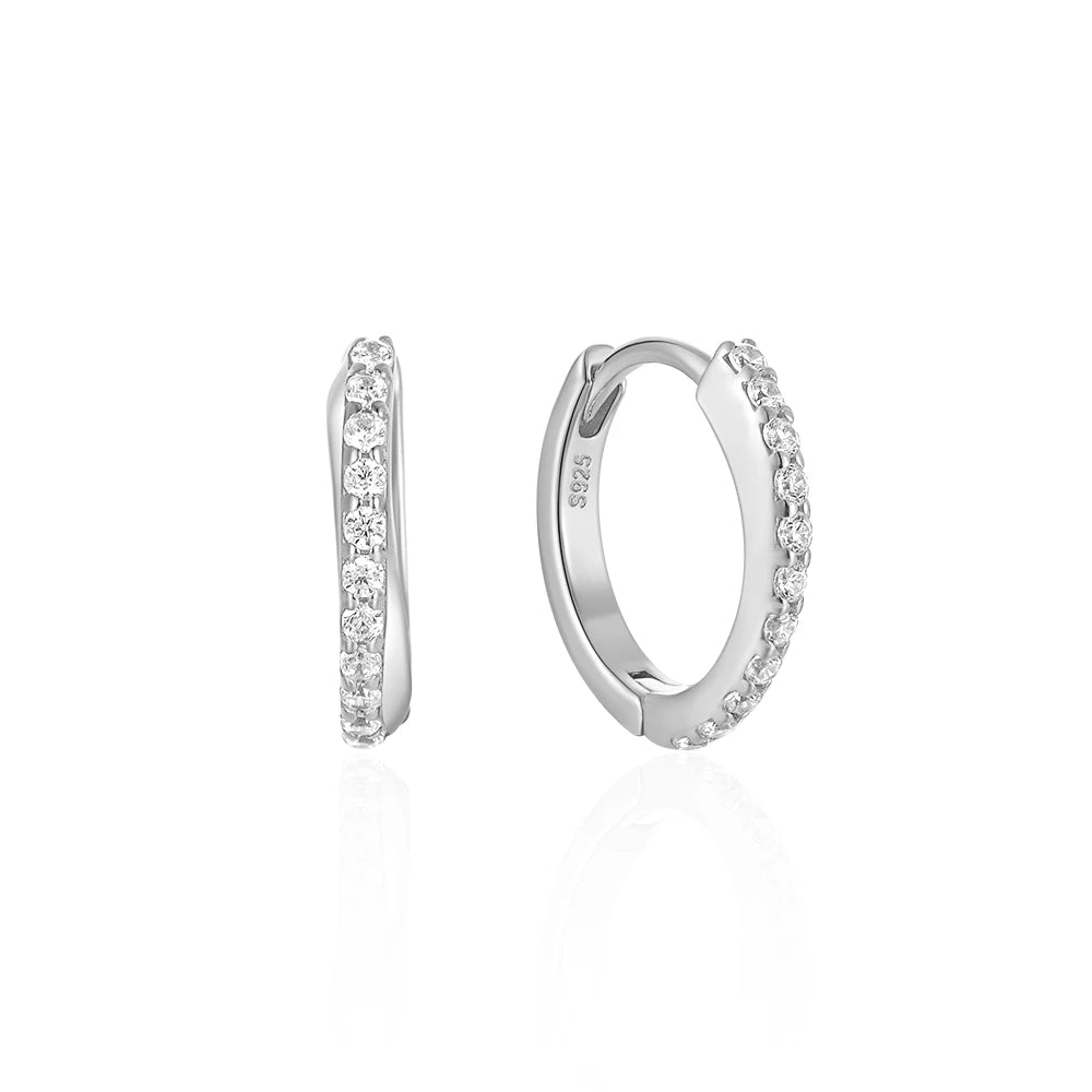 CANNER Star Zircon 925 Sterling Silver Hoop Earrings for Women Gold Color Round Circle Earing Fine Jewelry Accessory Pendientes