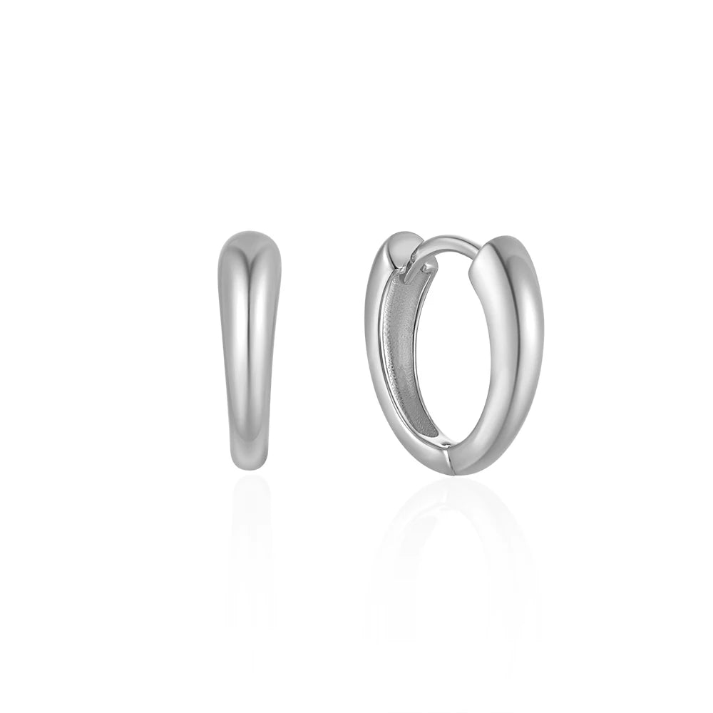 CANNER Star Zircon 925 Sterling Silver Hoop Earrings for Women Gold Color Round Circle Earing Fine Jewelry Accessory Pendientes