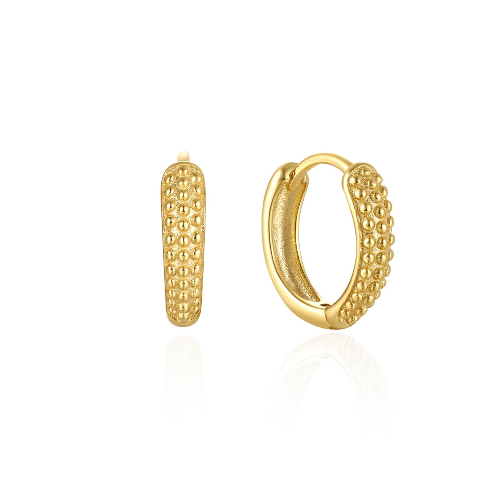CANNER Star Zircon 925 Sterling Silver Hoop Earrings for Women Gold Color Round Circle Earing Fine Jewelry Accessory Pendientes