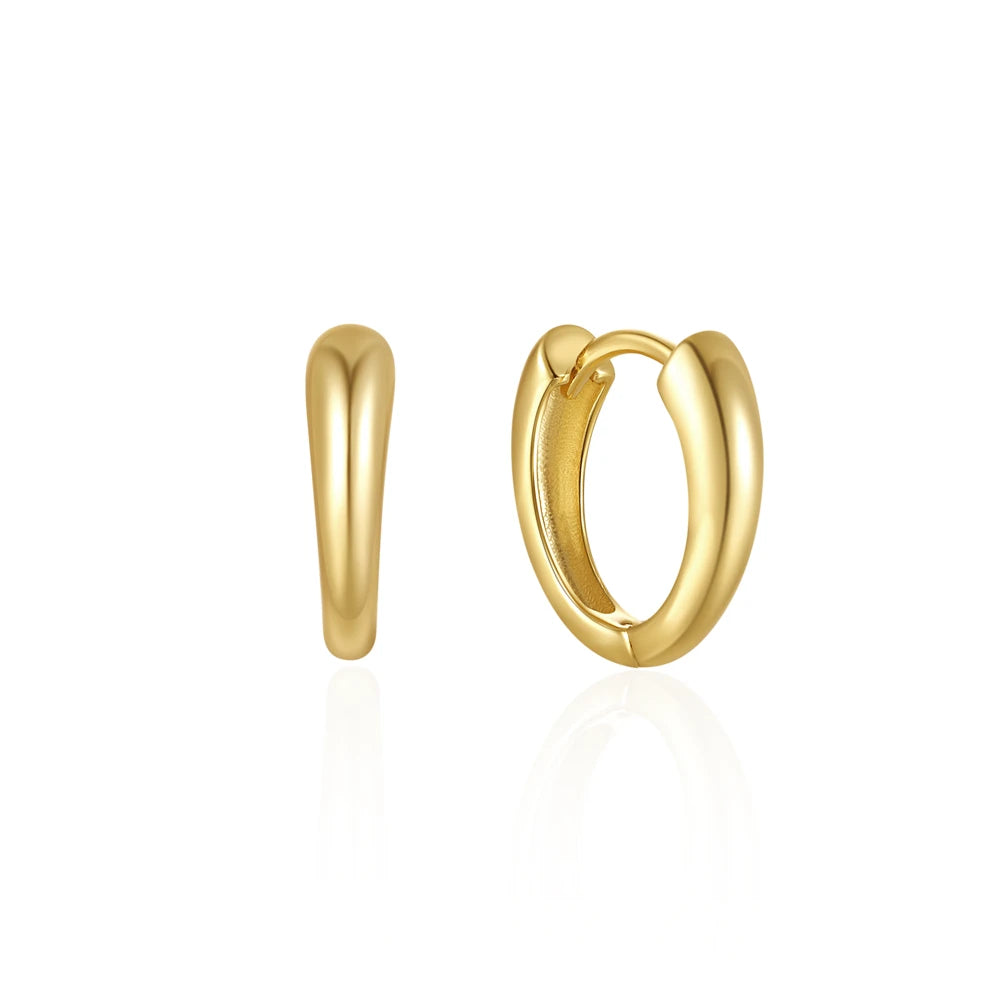 CANNER Star Zircon 925 Sterling Silver Hoop Earrings for Women Gold Color Round Circle Earing Fine Jewelry Accessory Pendientes