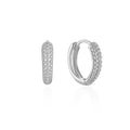 CANNER Star Zircon 925 Sterling Silver Hoop Earrings for Women Gold Color Round Circle Earing Fine Jewelry Accessory Pendientes