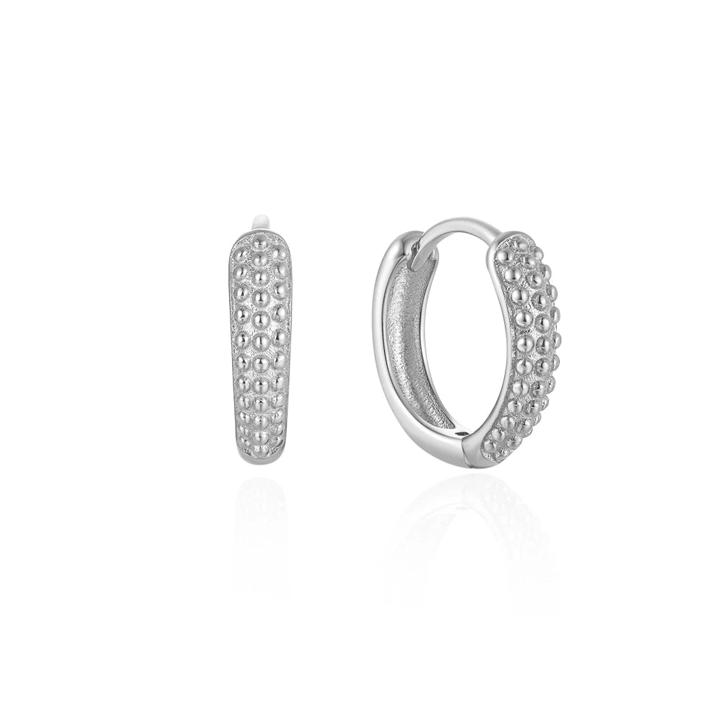 CANNER Star Zircon 925 Sterling Silver Hoop Earrings for Women Gold Color Round Circle Earing Fine Jewelry Accessory Pendientes